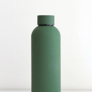 Insulated Travel Bottle